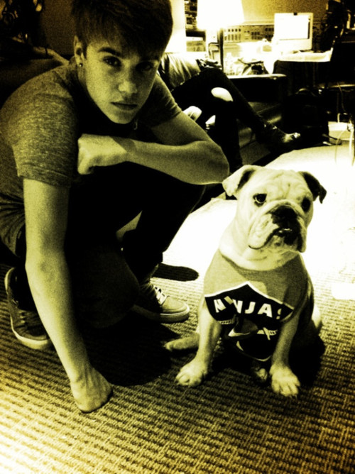 Bieber med Chris Browns hund i studion